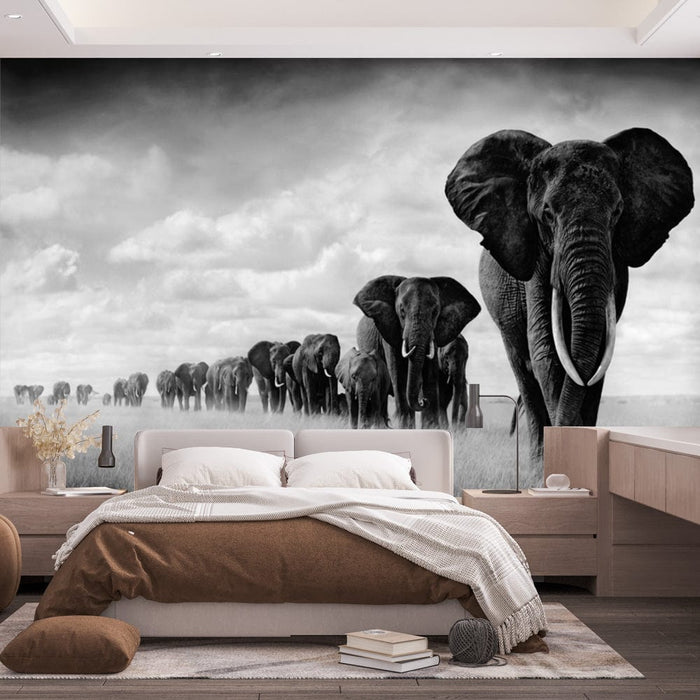 Papier peint animaux | Eléphants