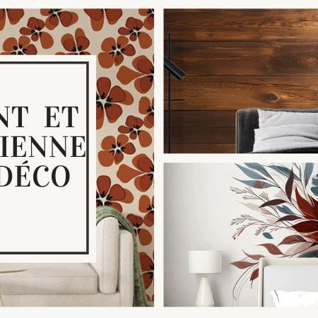 choix papier peint maison ancienne