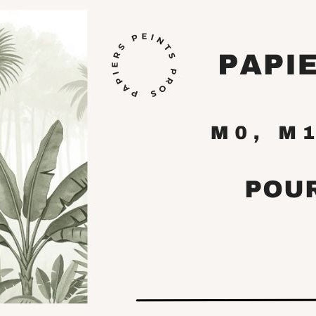 différences classement m0 à M4 papier peint pro