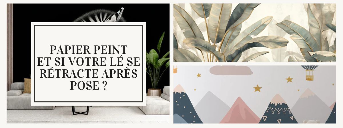 lé papier peint se rétracte que faire