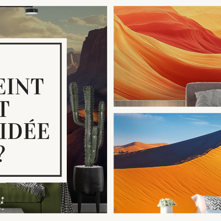 papier peint désert déco d'intérieure