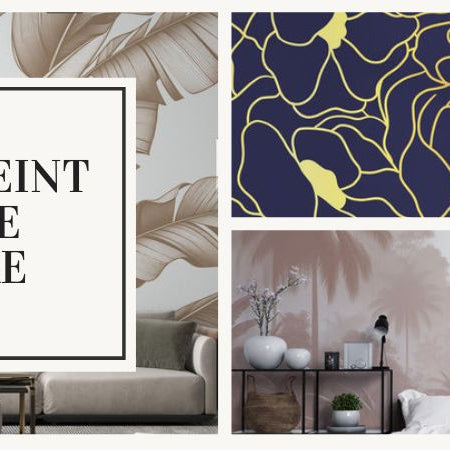 papier peint entrée sombre solutions