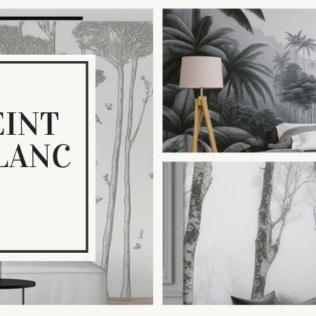 style décoration papier peint noir et blanc