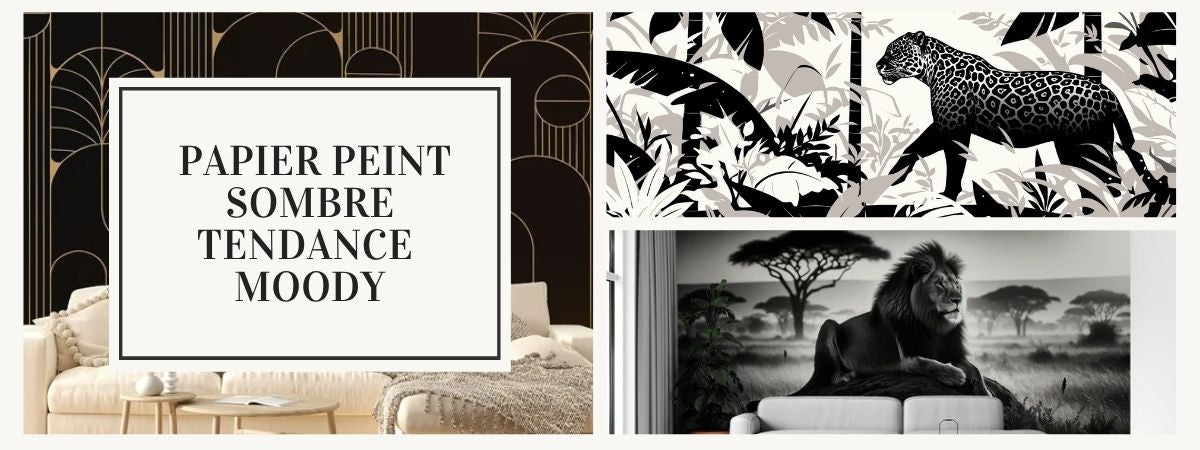 papier peint sombre tendance moody