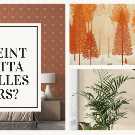 papier peint terracotta quelle couleur association