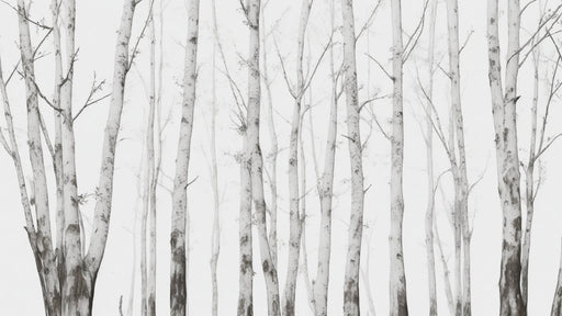 Papier peint représentant des troncs d'arbres en noir et blanc, créant une ambiance minimaliste et apaisante, évoquant la sérénité de la nature.