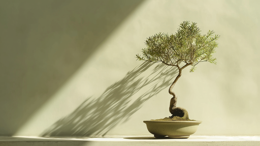 image lepapierpeint.fr