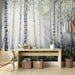 Papier peint forêt bouleau avec rayons de soleil pour décoration murale salon naturel