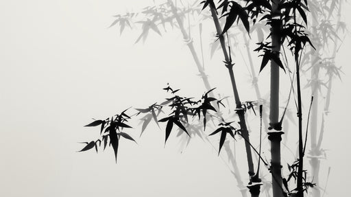 Papier peint bambou Silhouette élégante en noir et blanc