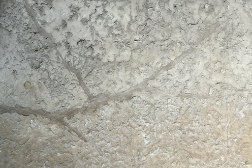 Papier peint effet béton Design brut et industriel