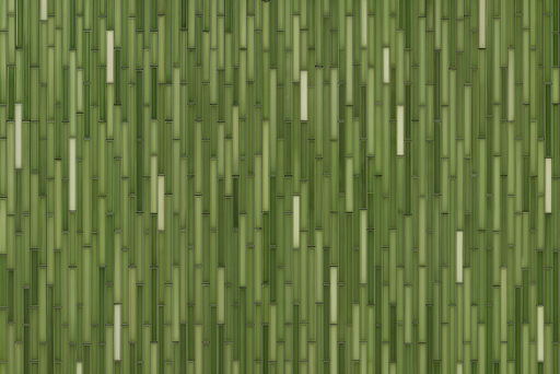 Papier peint Bambou Design moderne et écolo