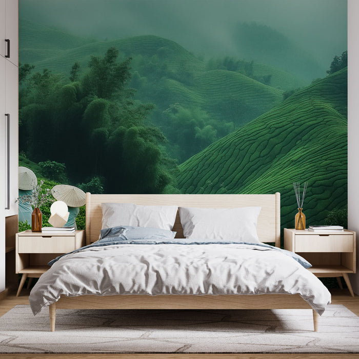 Papier peint nature | Paysage de plantations de thé verdoyantes
