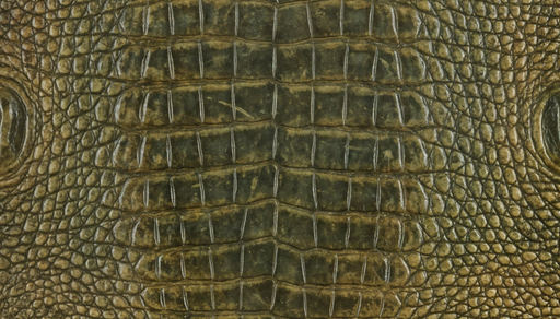 Papier peint peau de reptile Effet cuir texturé