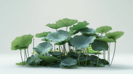 Papier peint nénuphars Design apaisant et naturel