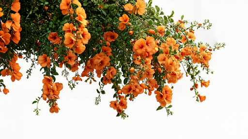 Papier peint fleurs orange Élégantes fleurs suspendues