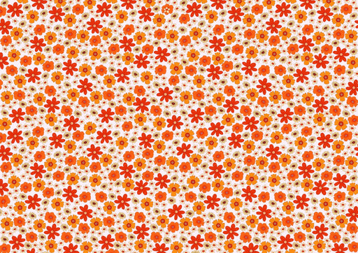 Papier peint fleuri Motif floral coloré