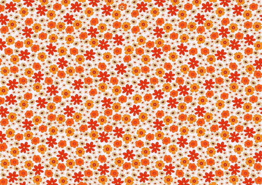 Papier peint floral Explosion de fleurs colorées