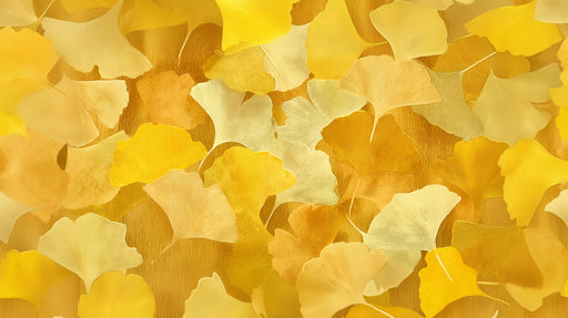 Papier peint feuilles de ginkgo Tons dorés et jaunes