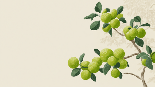 Papier peint agrumes Branches de fruits verts délicates sur fond doux