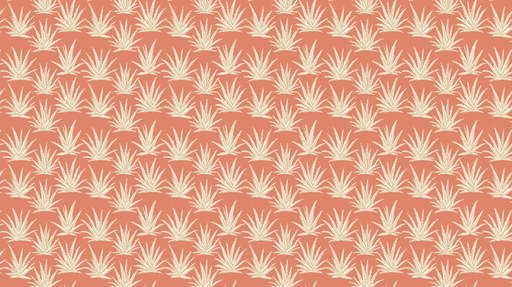Papier peint aloe vera Motif d'aloe vera sur fond corail élégant
