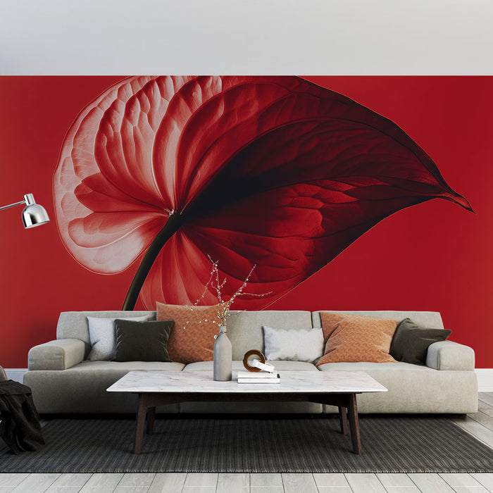 Papier peint Anthurium rouge | Élégance florale sur fond monochrome