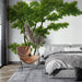 Une chambre moderne avec un papier peint représentant un grand arbre aux feuilles vertes, créant une atmosphère naturelle et apaisante.