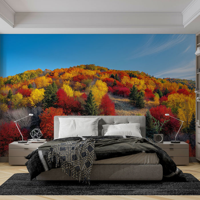 Papier peint automnal avec paysage vibrant de feuillage coloré pour chambre moderne