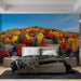 Papier peint automnal avec paysage vibrant de feuillage coloré pour chambre moderne