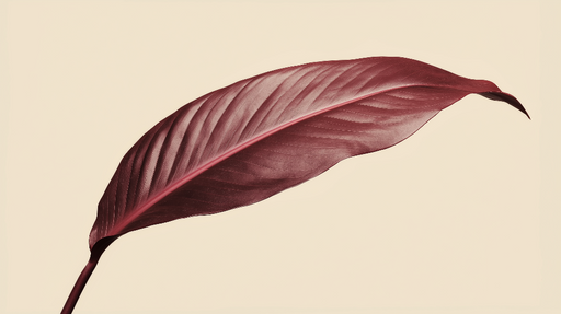 Papier peint avec motif de feuille Bordeaux Élégante feuille rouge sur fond clair