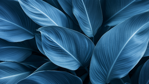 Papier peint bleu canard Feuilles tropicales élégantes et apaisantes