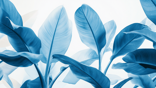 Papier peint bleu canard Feuilles tropicales et fond blanc