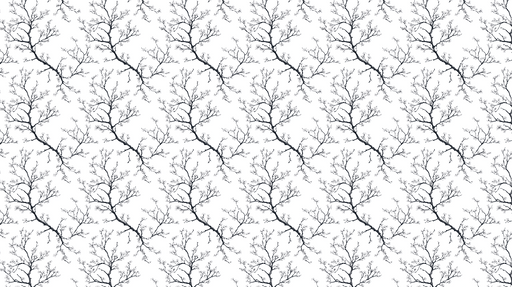 Papier peint branches d'arbre Motif délicat de branches noires sur fond blanc