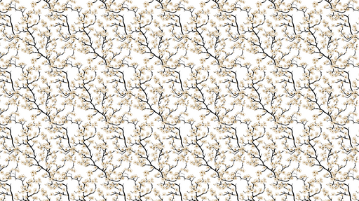 Papier peint branches fleuries Motif de branches noires avec fleurs blanches élégantes