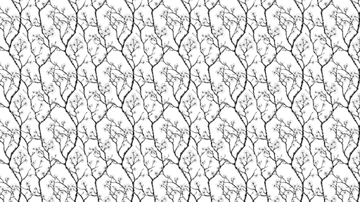 Papier peint branches fleuries Motif délicat de branches noires et fleurs blanches