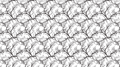 Papier peint branches noires Motif délicat de branches entrelacées sur fond blanc