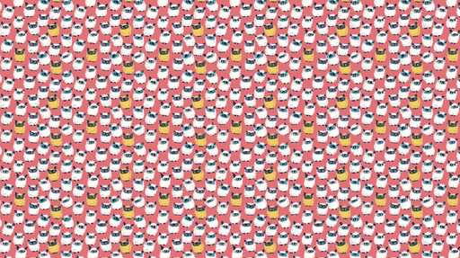 Papier peint chouettes Un motif vivant de chouettes colorées sur fond rose