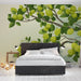 Une chambre lumineuse avec un papier peint représentant des branches de citronniers aux fruits jaunes et aux feuilles vertes, créant une ambiance fraîche et naturelle.