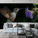 Papier peint colibri vibrant butinant des fleurs violettes pour salon moderne