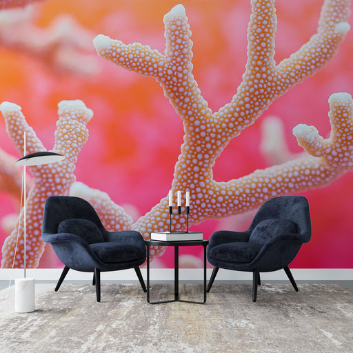 Papier peint corail design avec motifs marins aux nuances douces et colorées pour salon moderne
