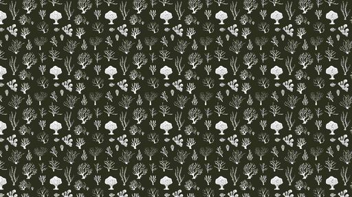 Papier peint corail Motifs de coraux et coquillages sur fond noir