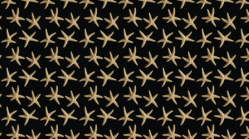 Papier peint étoiles de mer Motif de étoiles de mer sur fond noir