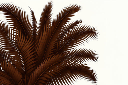 Papier peint représentant des feuilles de palmier en brun profond sur fond blanc, créant une atmosphère chaleureuse et tropicale.