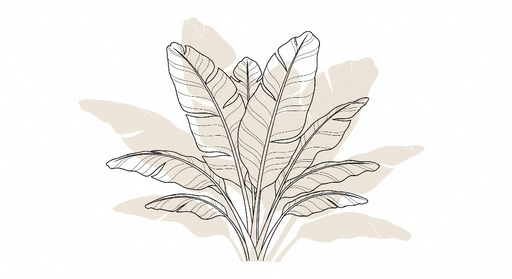 Papier peint feuillage minimaliste Feuilles élégantes en contour sur fond doux