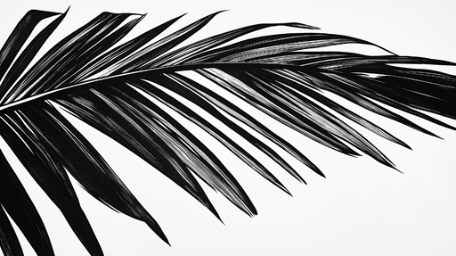 Papier peint feuillage noir et blanc Feuille de palmier panoramique