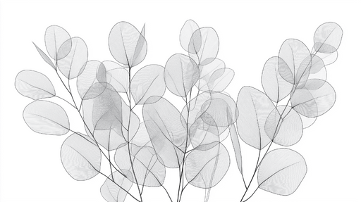 Papier peint feuillage noir et blanc Feuilles d'eucalyptus