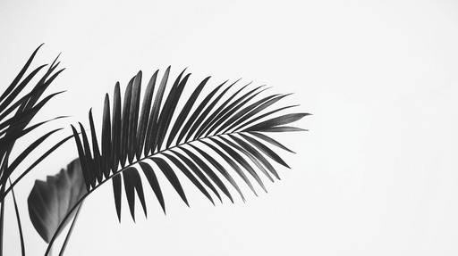 Papier peint feuillage noir et blanc Feuilles de palmier en contraste