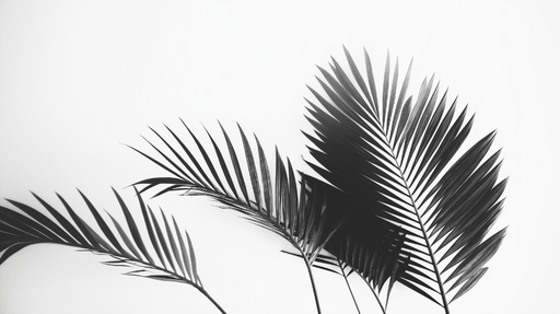 Papier peint feuillage noir et blanc Feuilles de palmier en monochrome