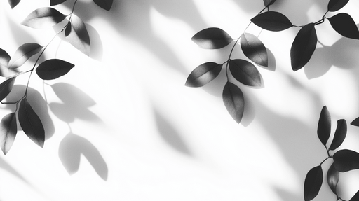 Papier peint feuillage noir et blanc Feuilles tombantes avec jeux d'ombres
