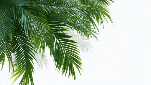 Papier peint feuillage tropical Feuilles de palmier luxuriantes sur fond clair