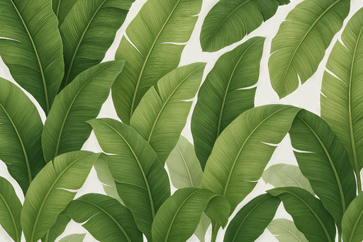 Papier peint tropical représentant de grandes feuilles vertes luxuriantes sur fond clair, créant une ambiance fraîche et vivifiante.
